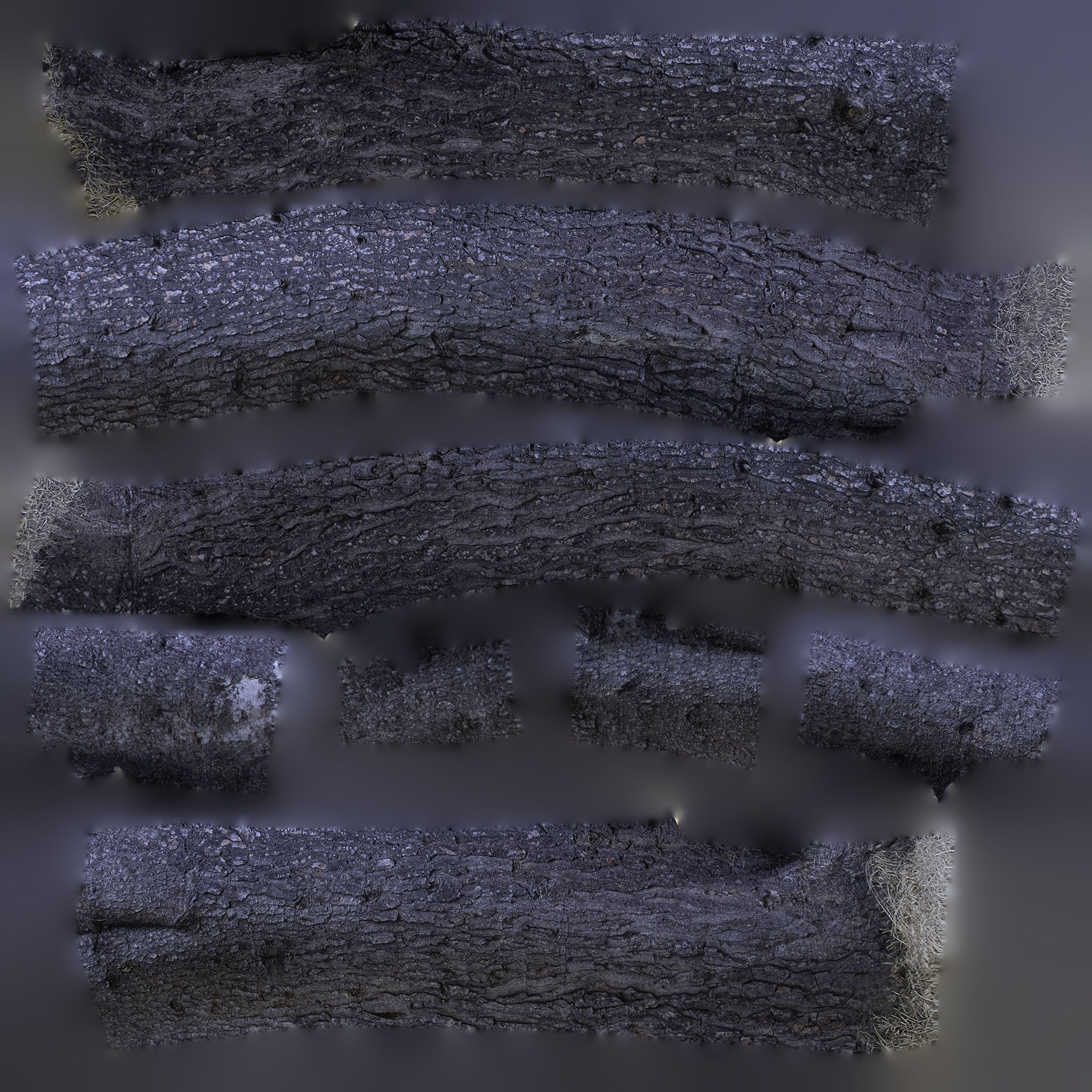 Tree Trunk - 06 3D model_10