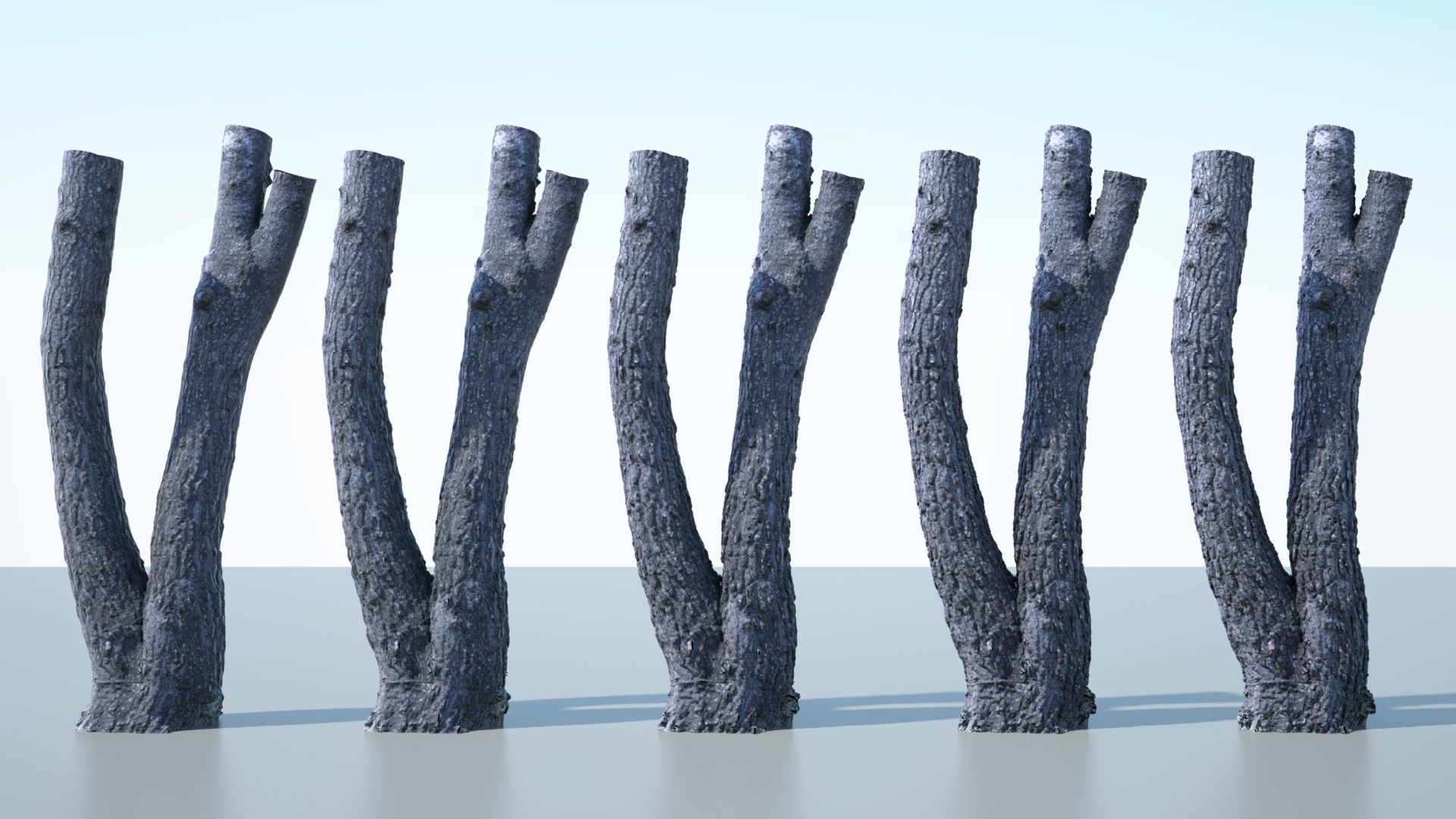 Tree Trunk - 06 3D model_6