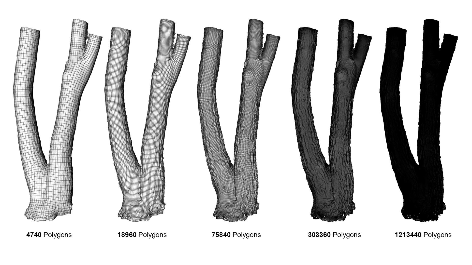 Tree Trunk - 06 3D model_1