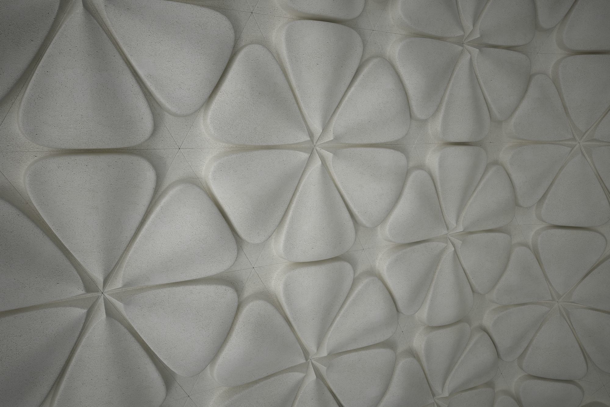 03 FRANGIPANI RELIEF Low-poly 3D model_5