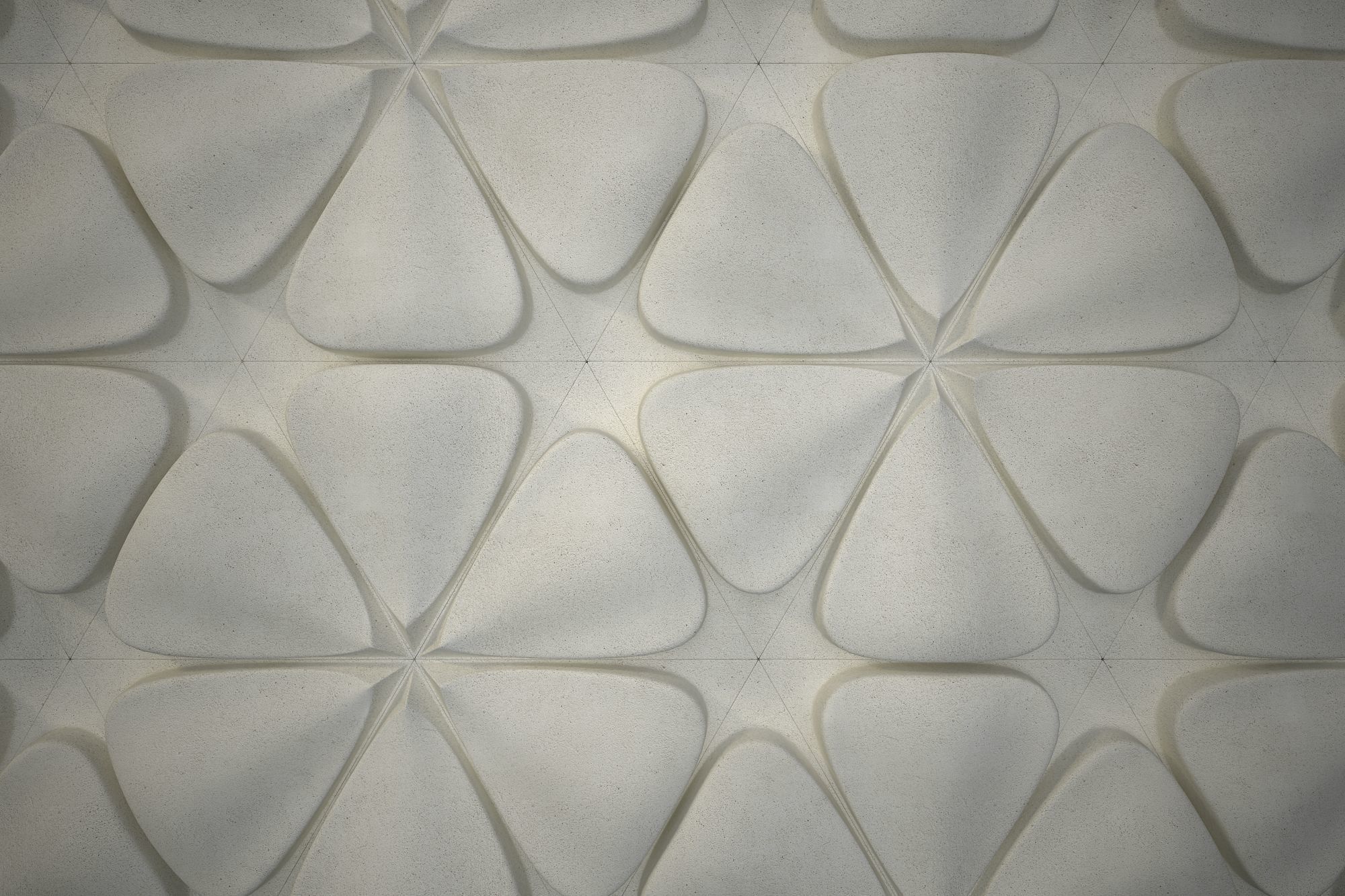 05 FRANGIPANI RELIEF Low-poly 3D model_6