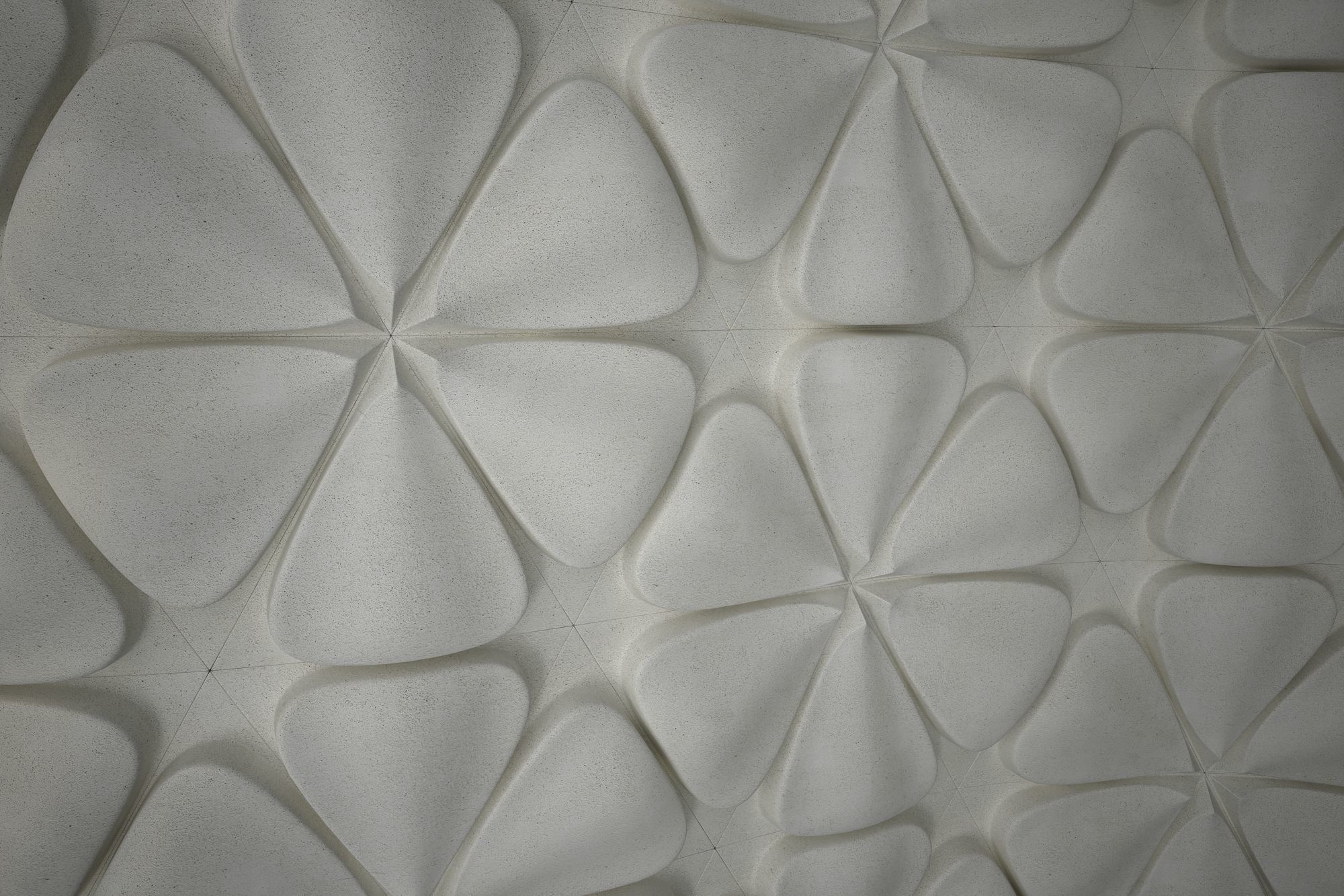 05 FRANGIPANI RELIEF Low-poly 3D model_5