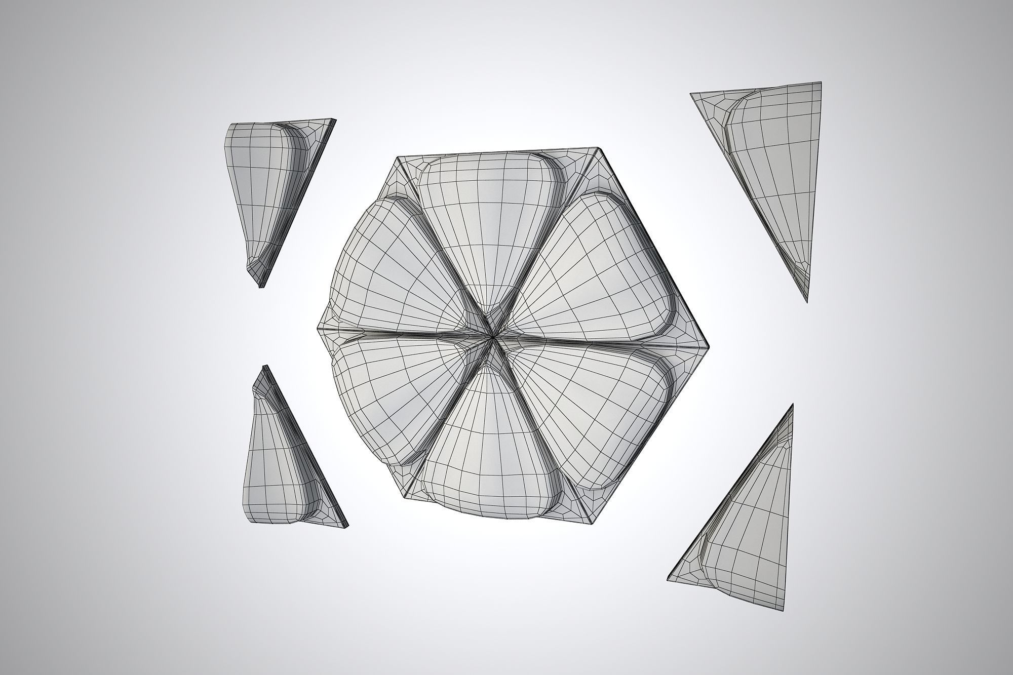 05 FRANGIPANI RELIEF Low-poly 3D model_8