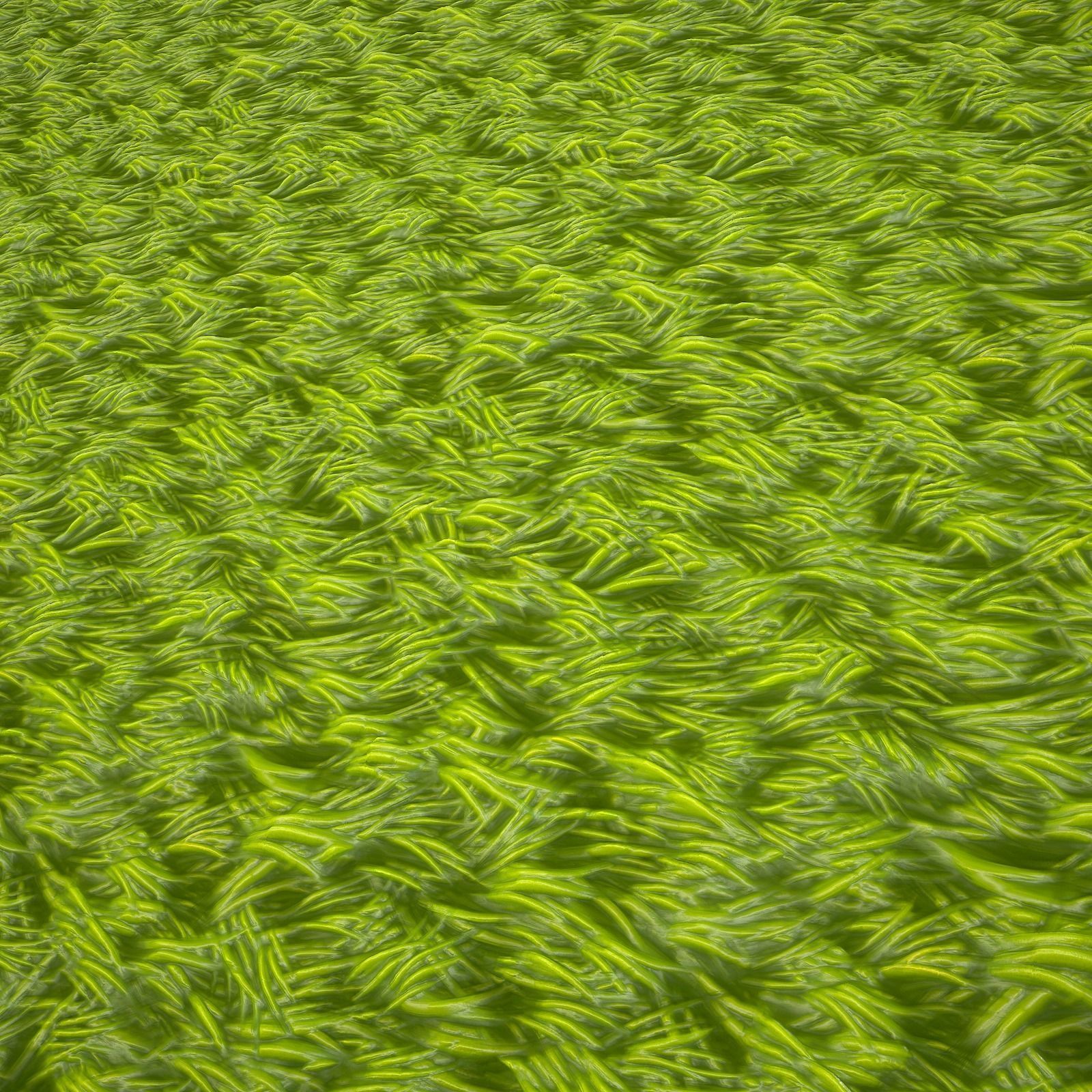 Stylized Grass Texture Free Texture_3