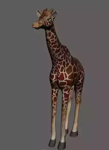 Zeraf giraffe Low-poly 3D model