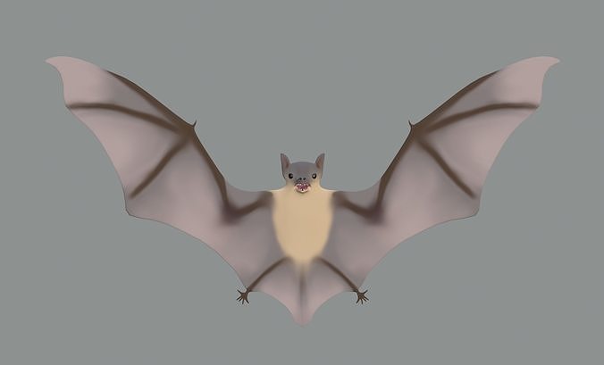 Bat Model 3D model