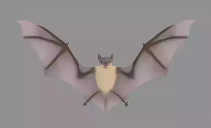 Bat Model 3D model