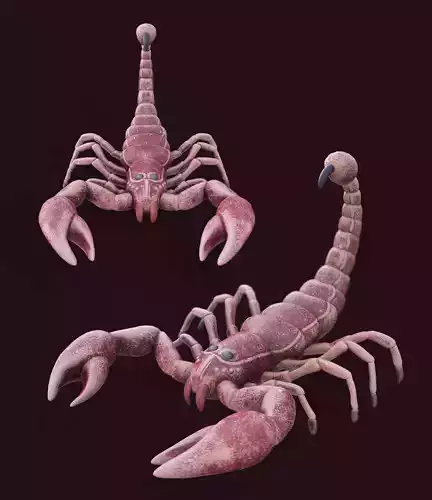 Scorpion Model two scorpions