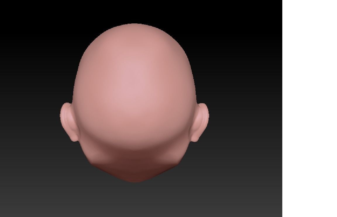 Stylized Female Basic Mesh Head 3D model 3D model_2