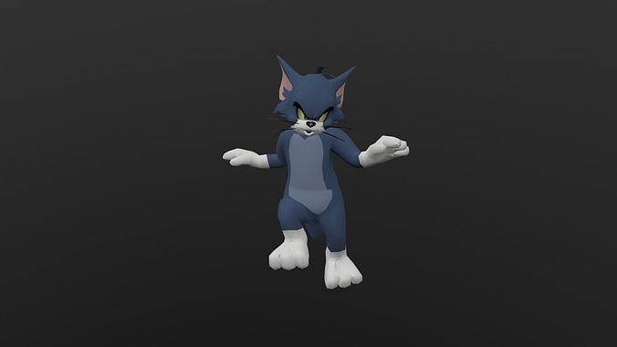 TOMC-004 Tom Cat Floating Low-poly 3D model