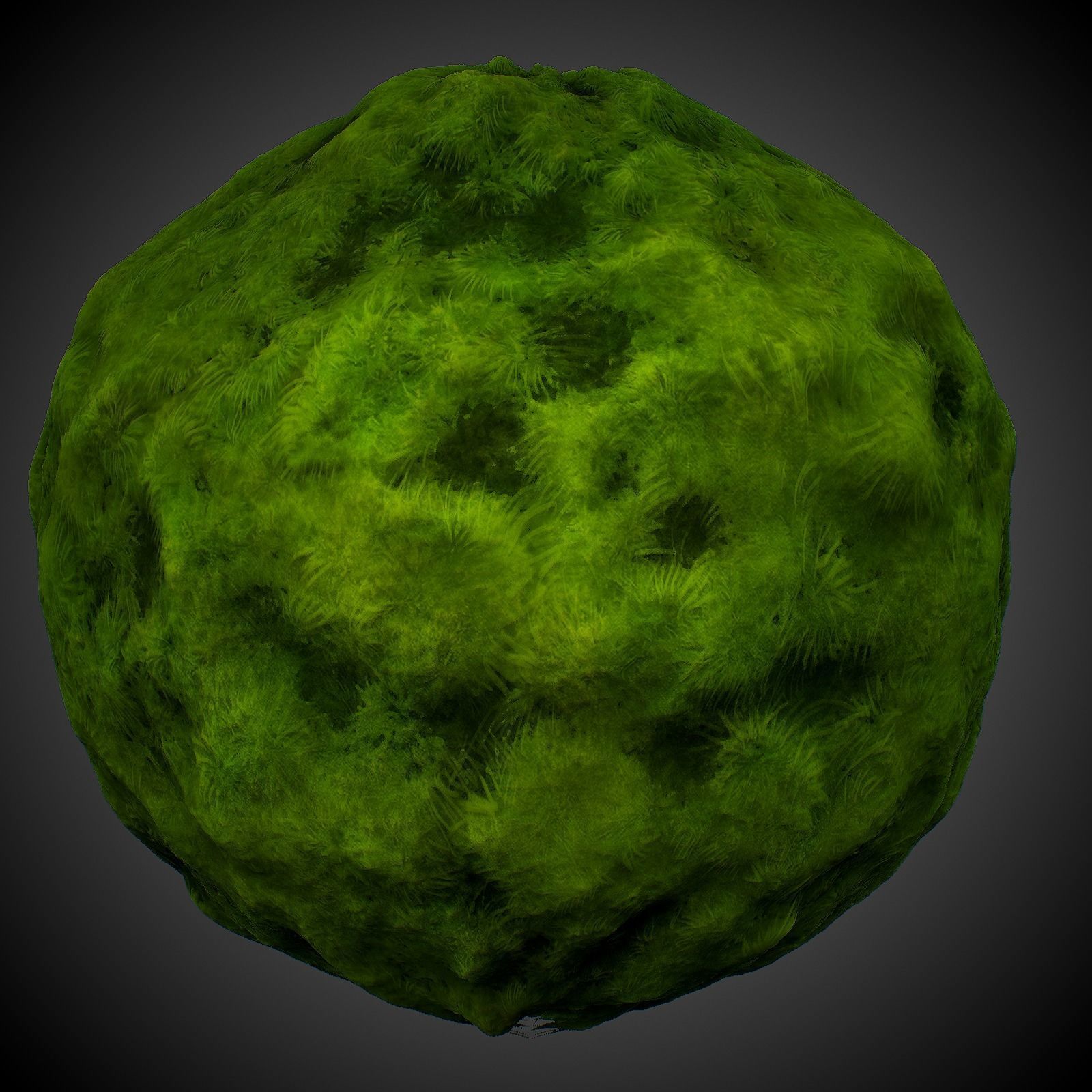 Stylized Forest Materials Texture_4