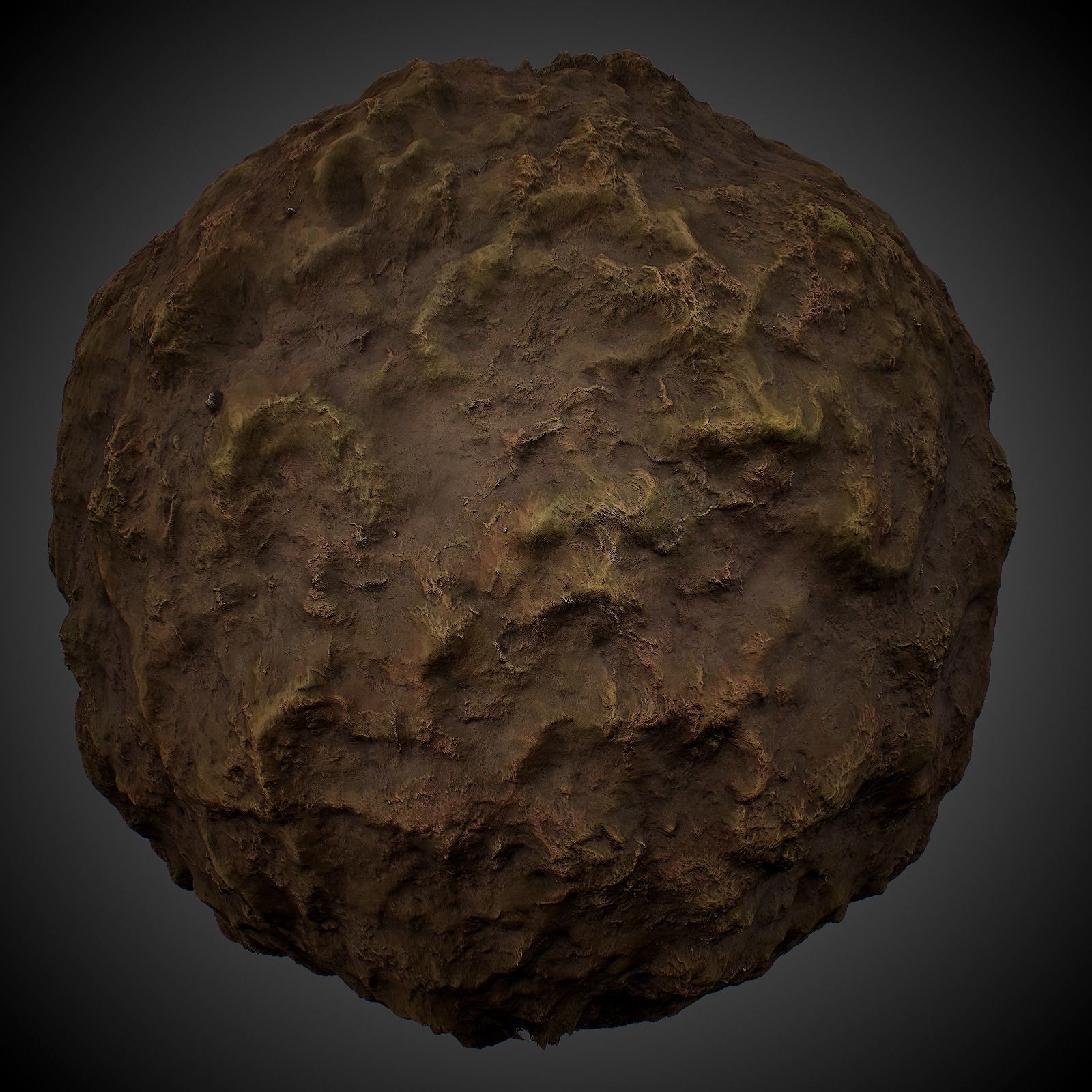 Stylized Forest Materials Texture_5