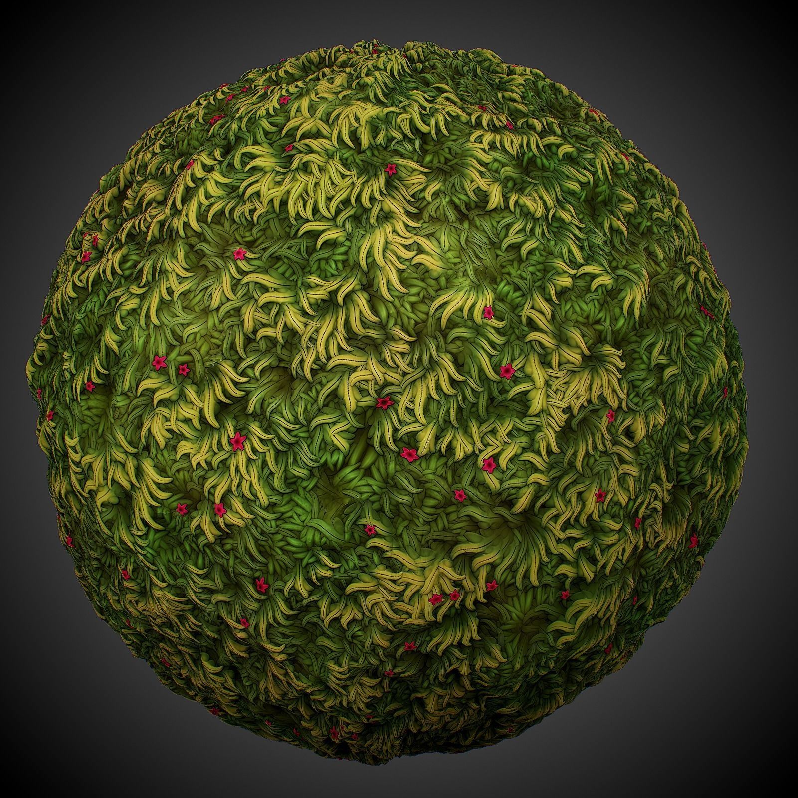 Stylized Forest Materials Texture_8