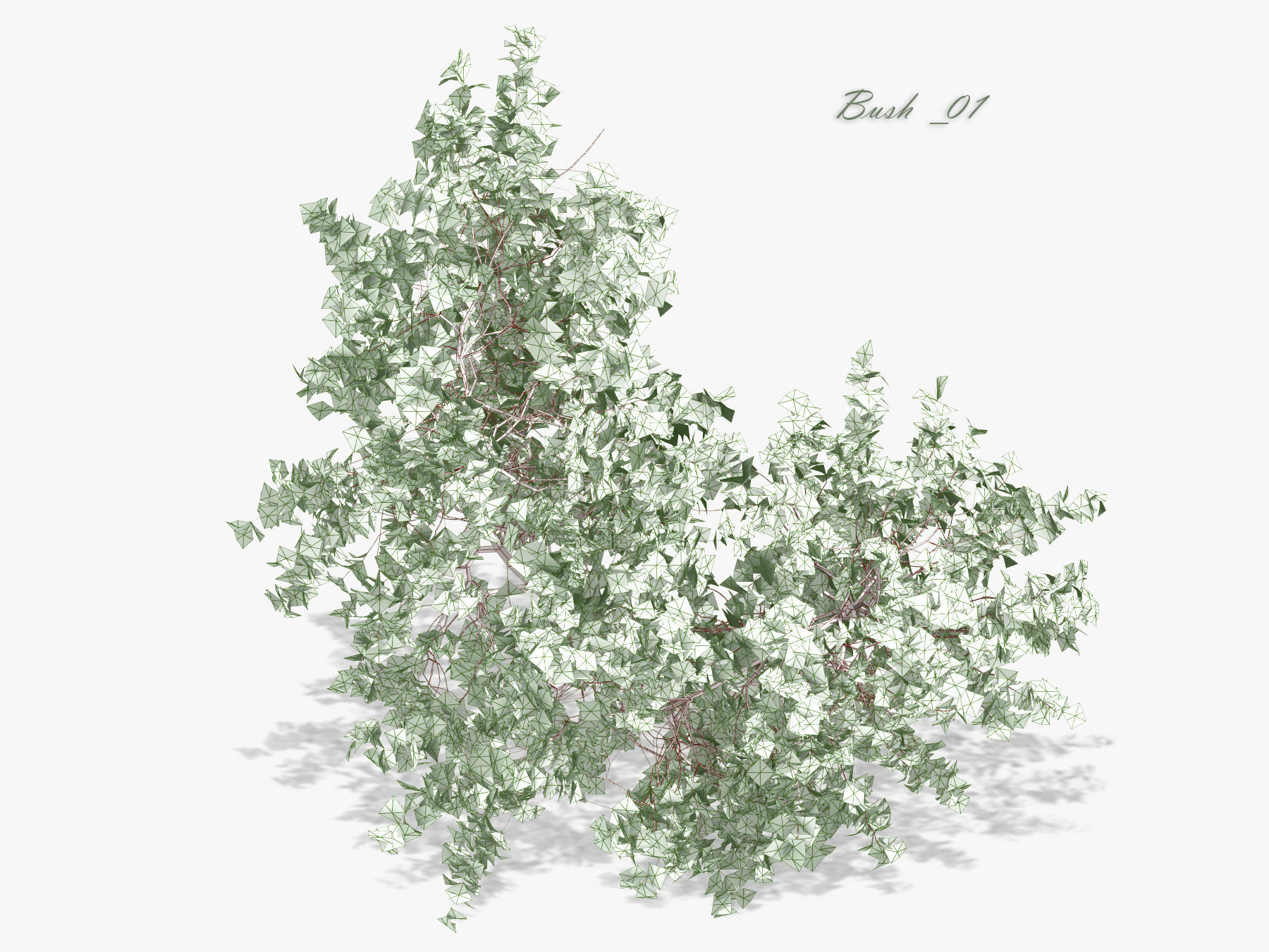 Bush over water 3D model_9