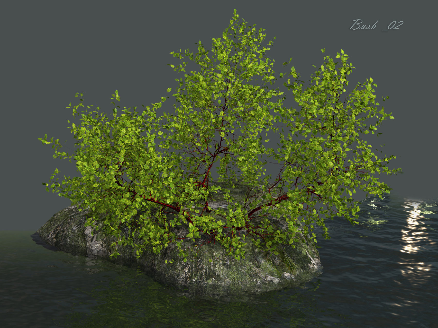 Bush over water 3D model_11