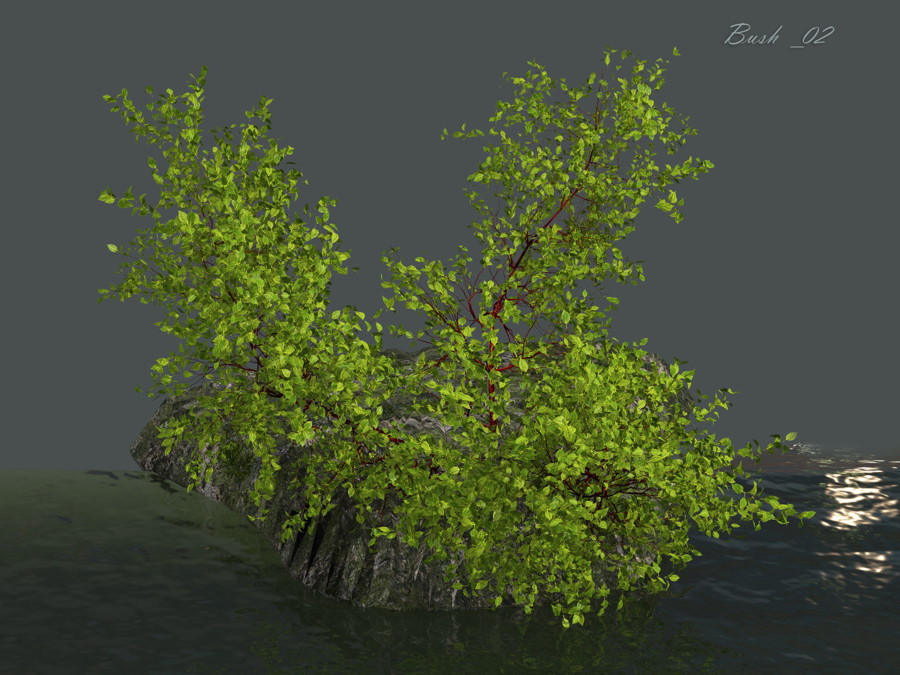 Bush over water 3D model_12