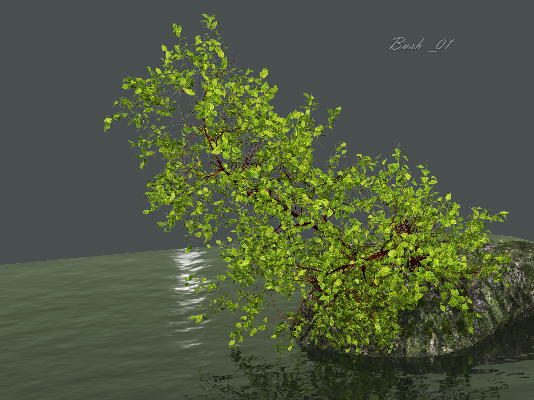 Bush over water 3D model_2