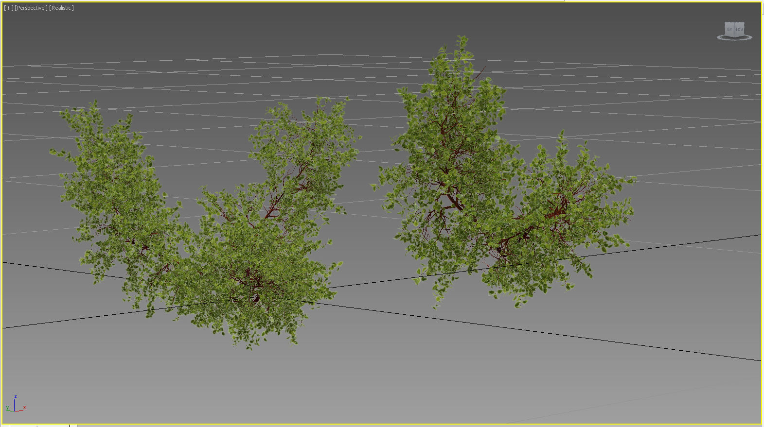 Bush over water 3D model_17