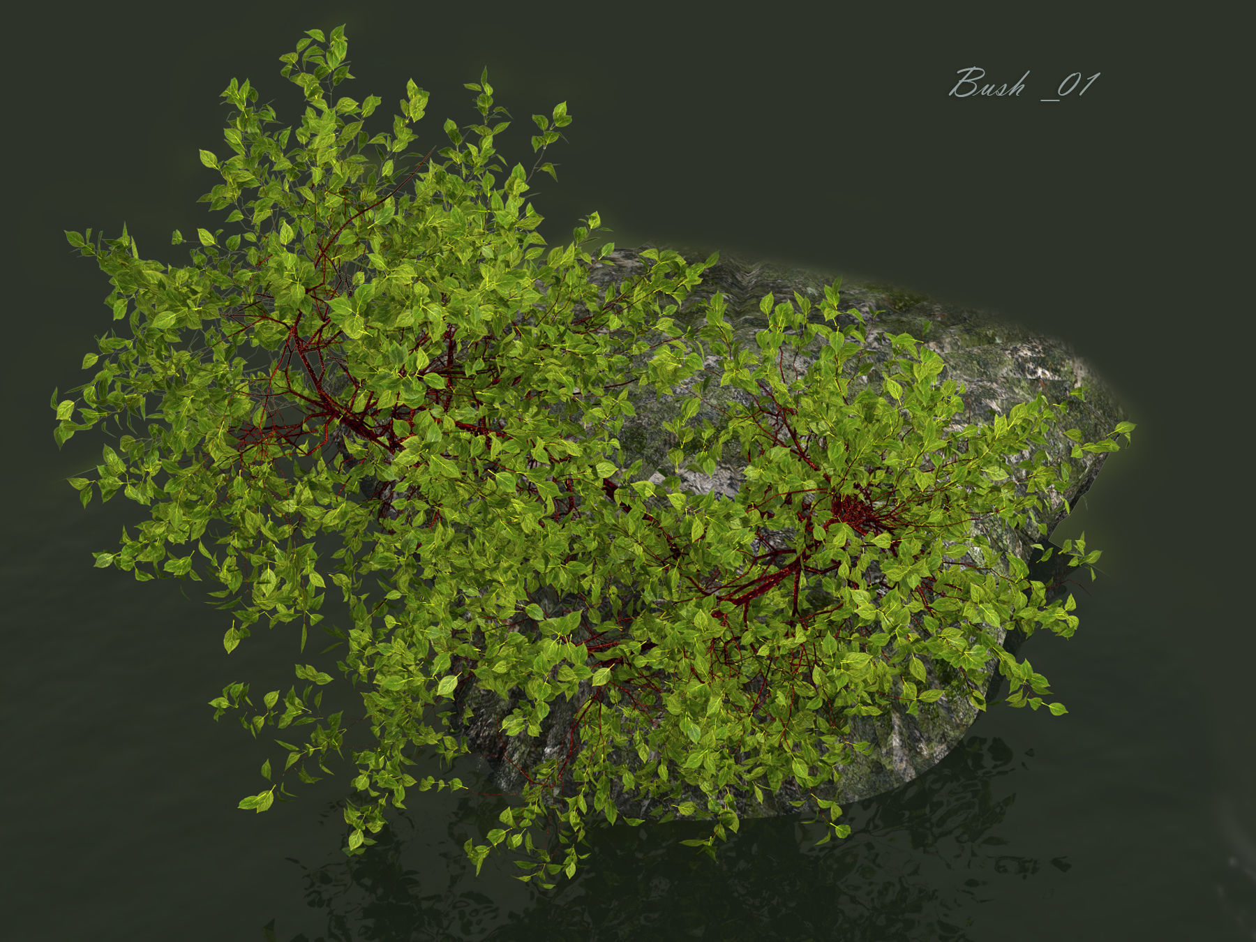Bush over water 3D model_4