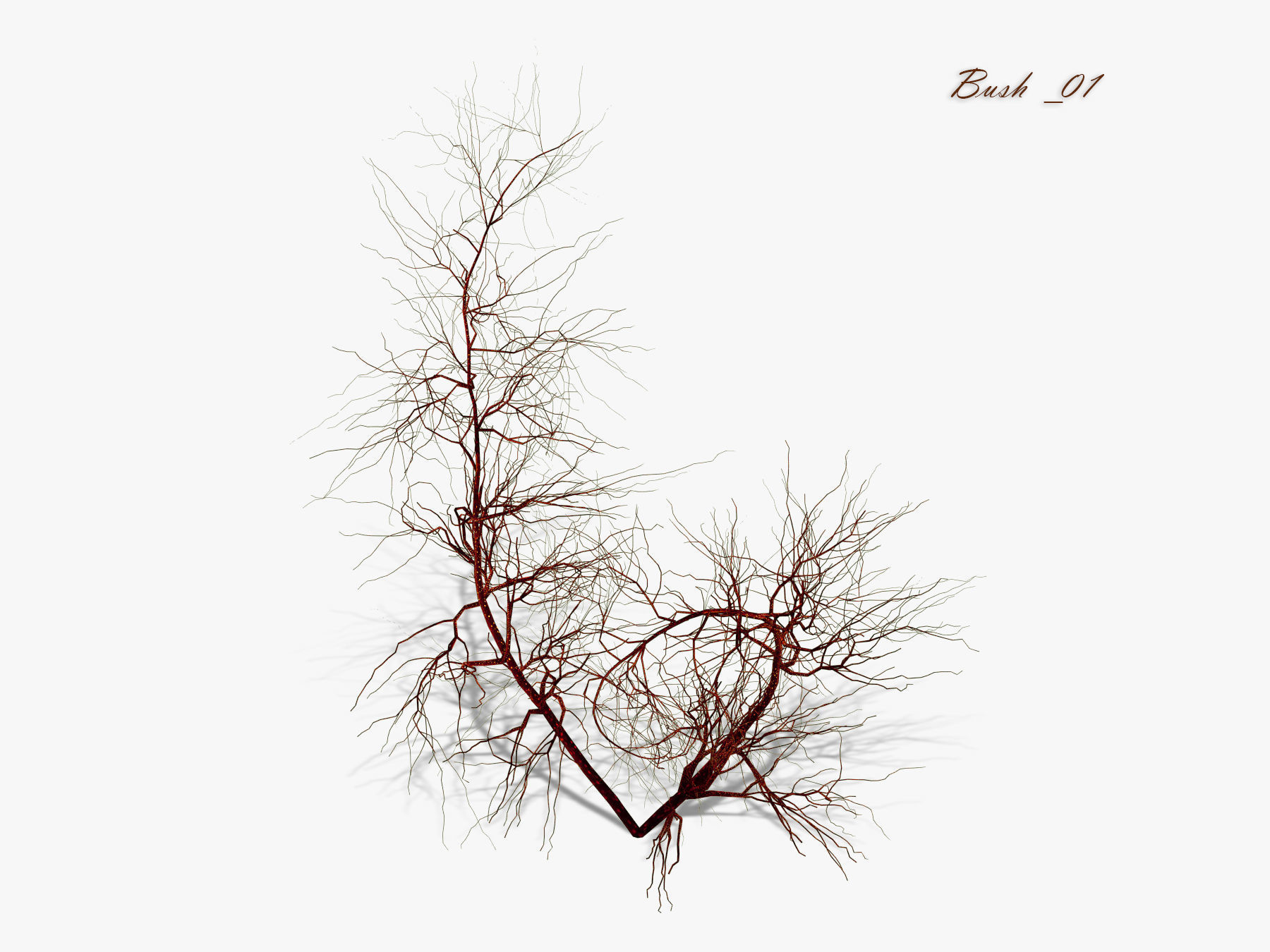 Bush over water 3D model_6