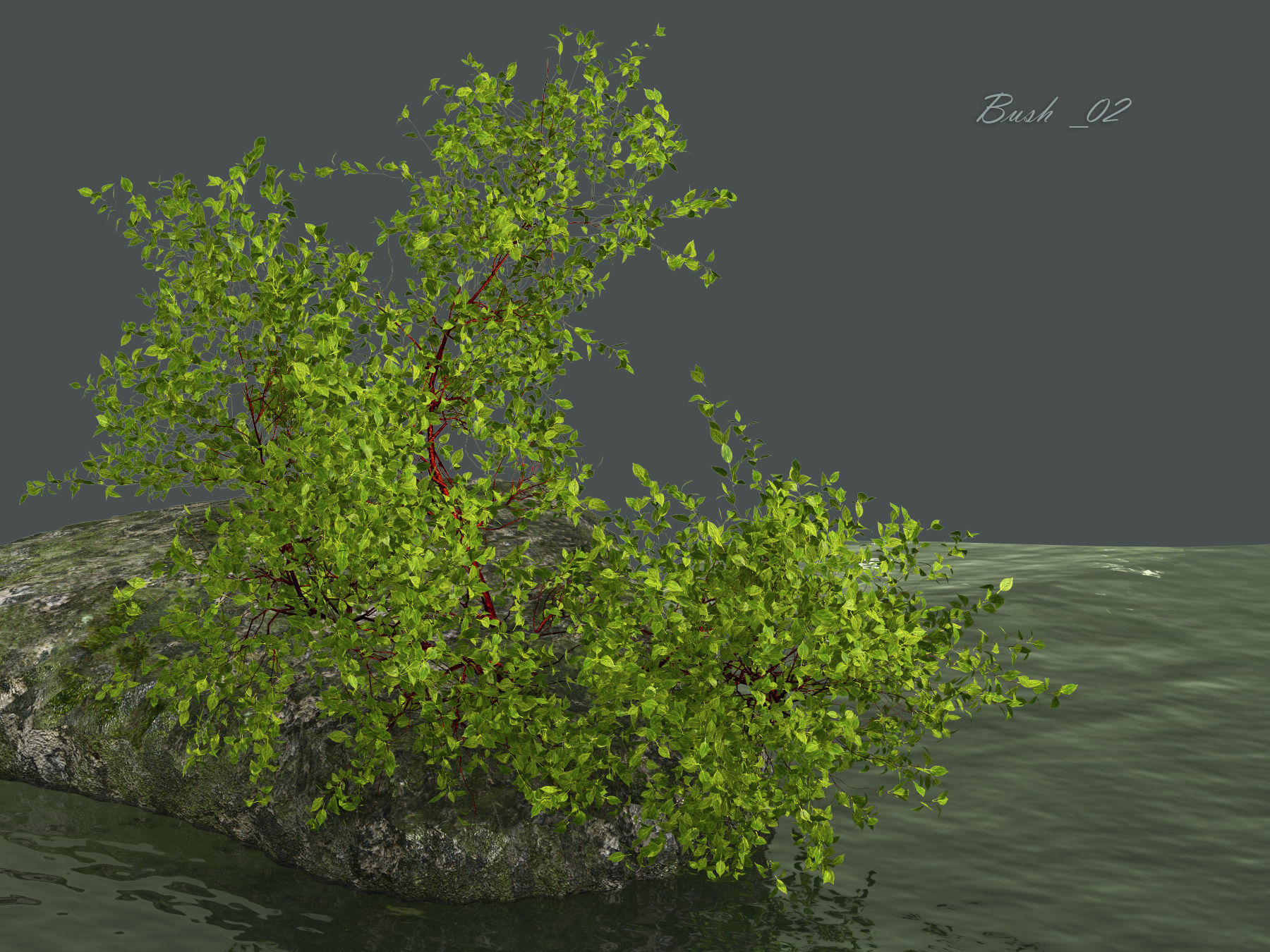 Bush over water 3D model_13