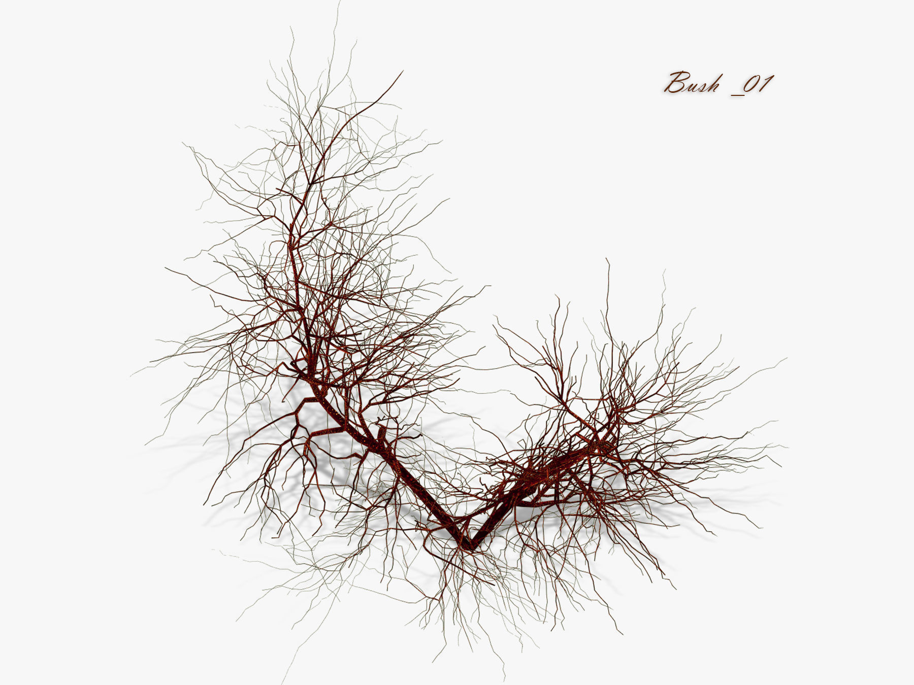 Bush over water 3D model_8