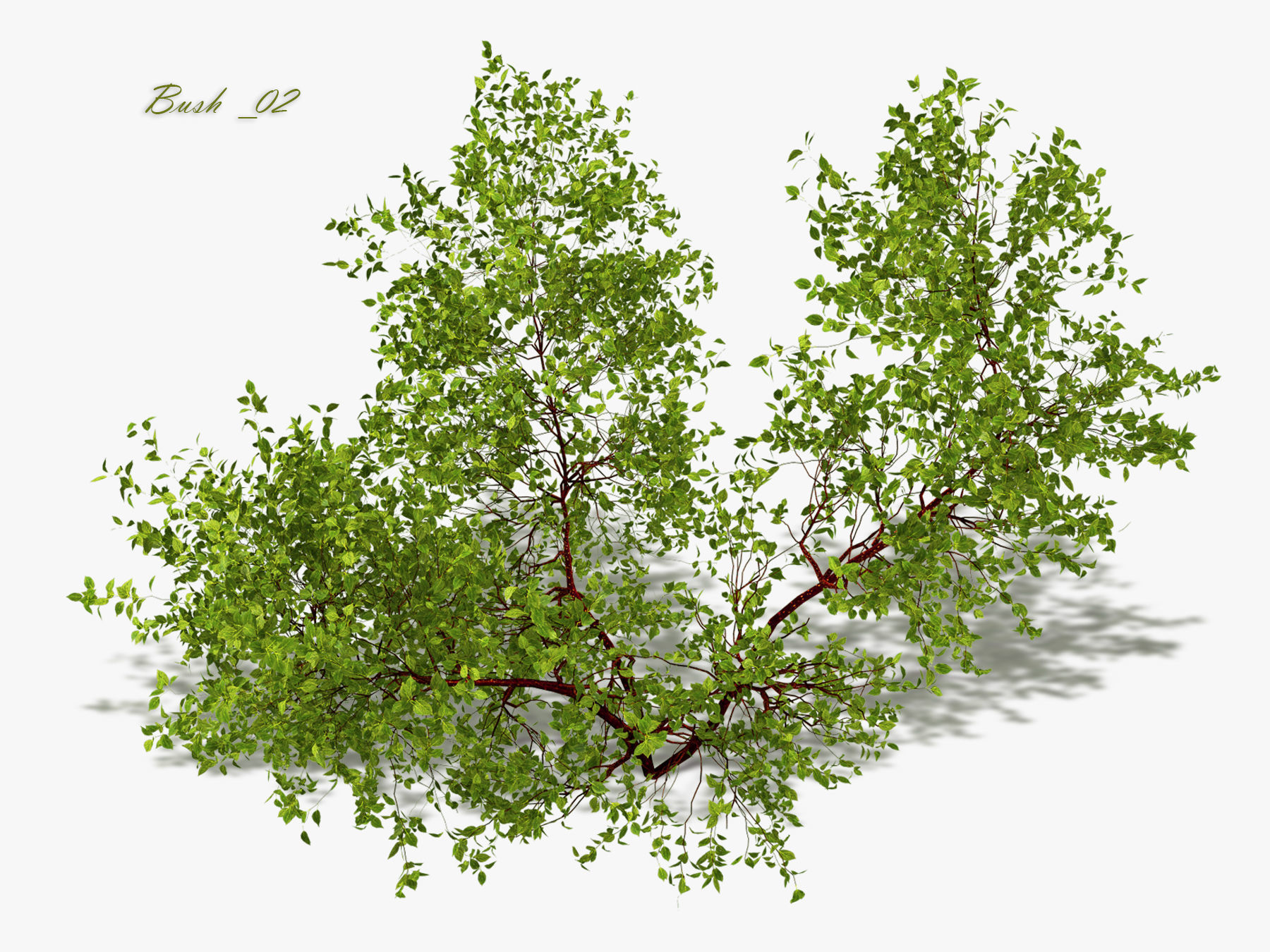Bush over water 3D model_14