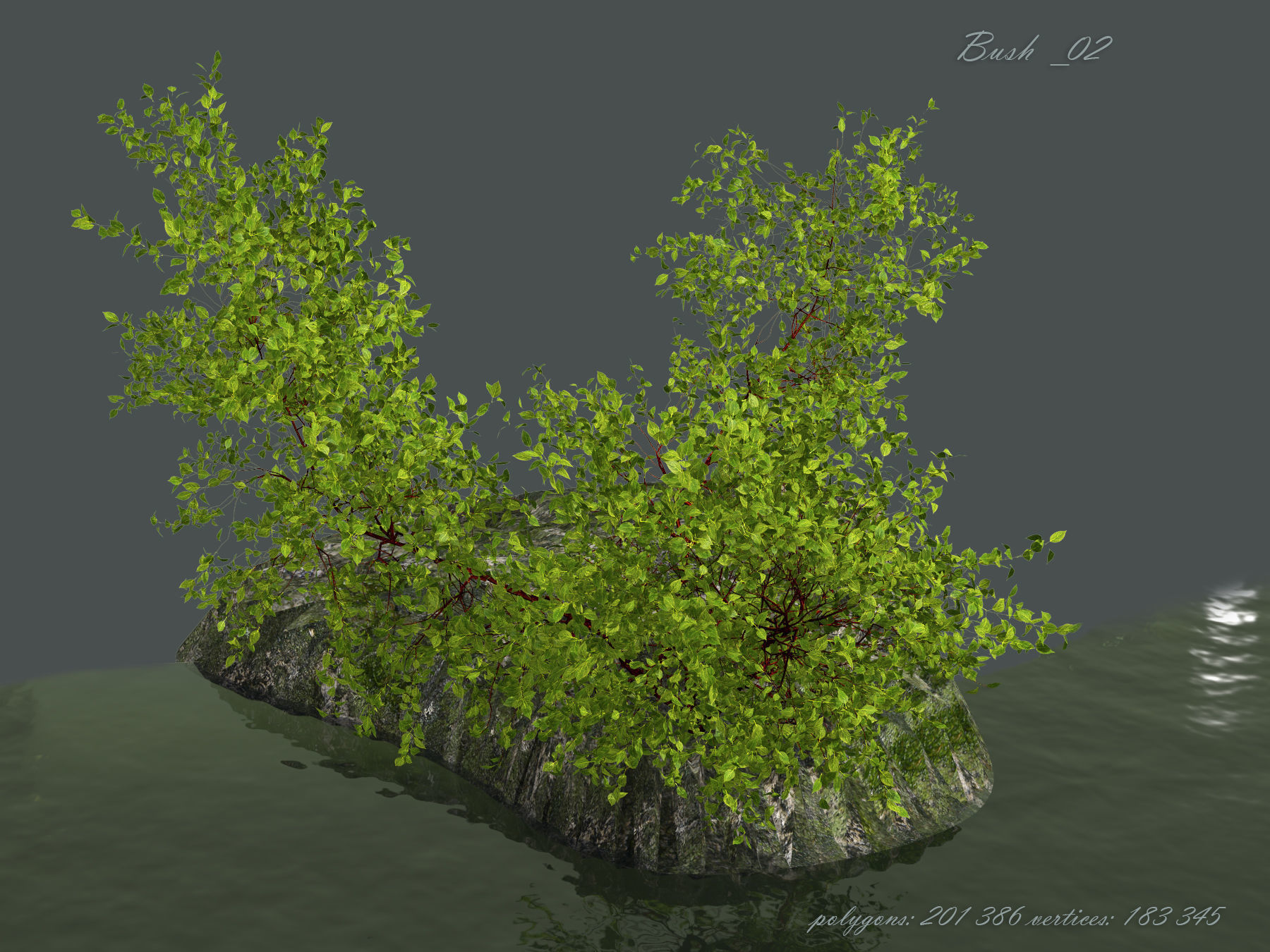 Bush over water 3D model_10