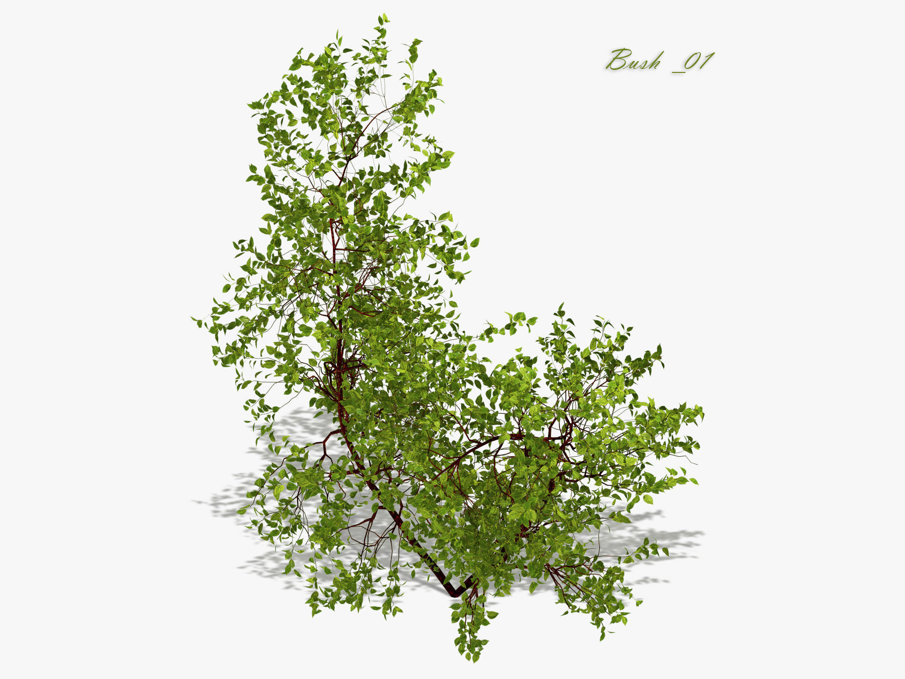 Bush over water 3D model_5