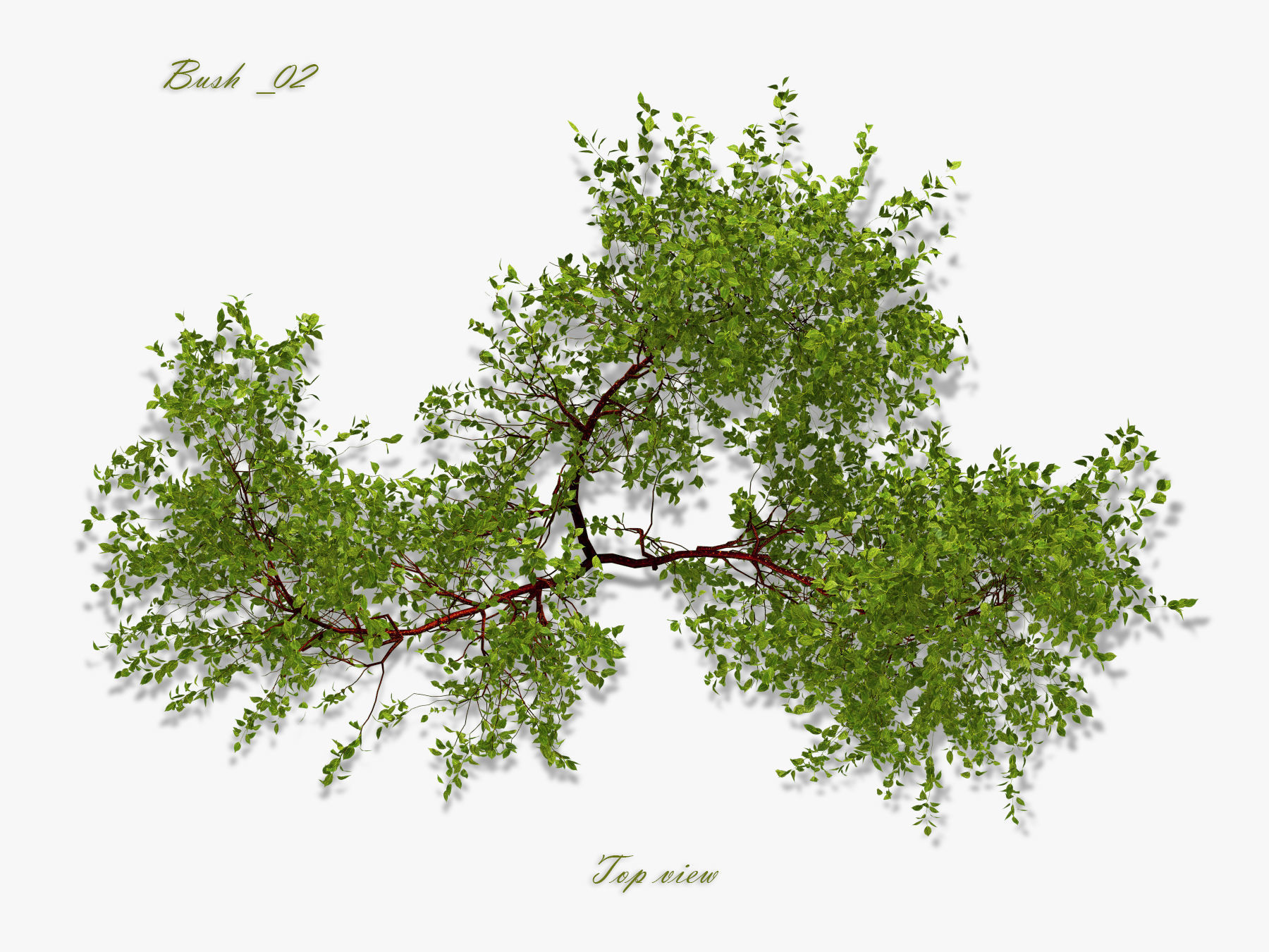 Bush over water 3D model_15