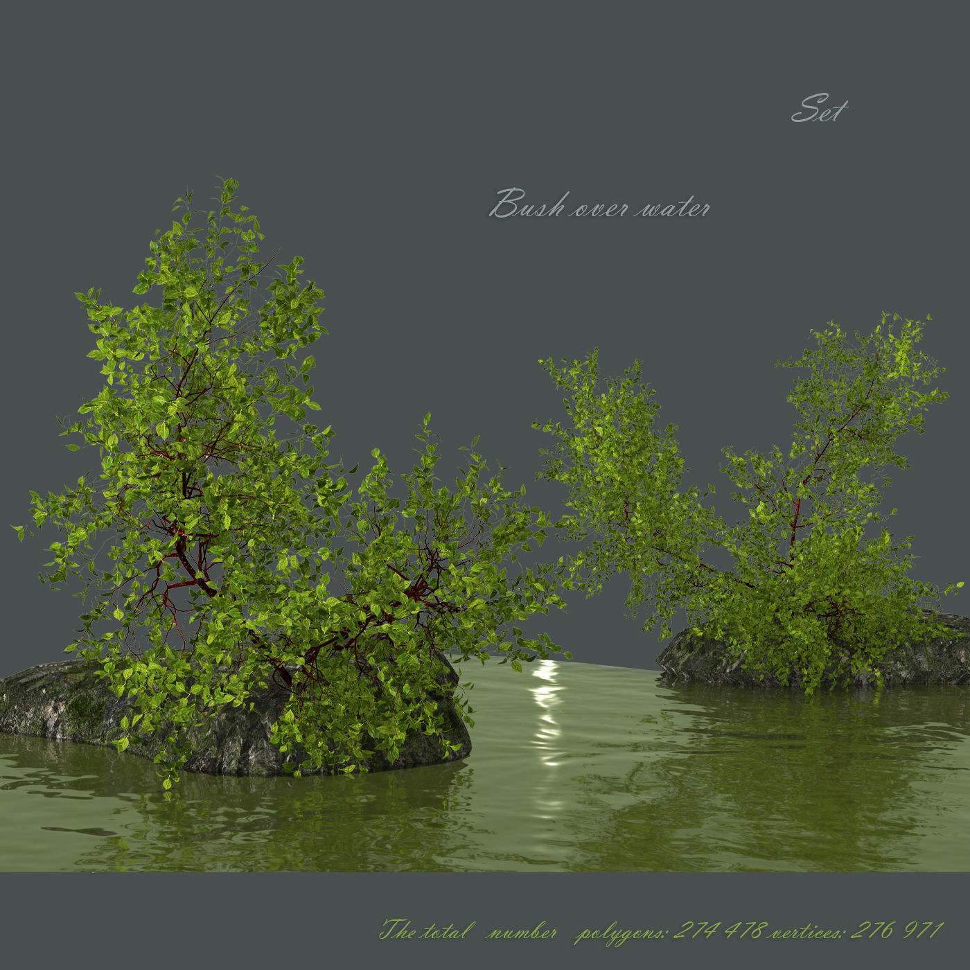Bush over water 3D model_0