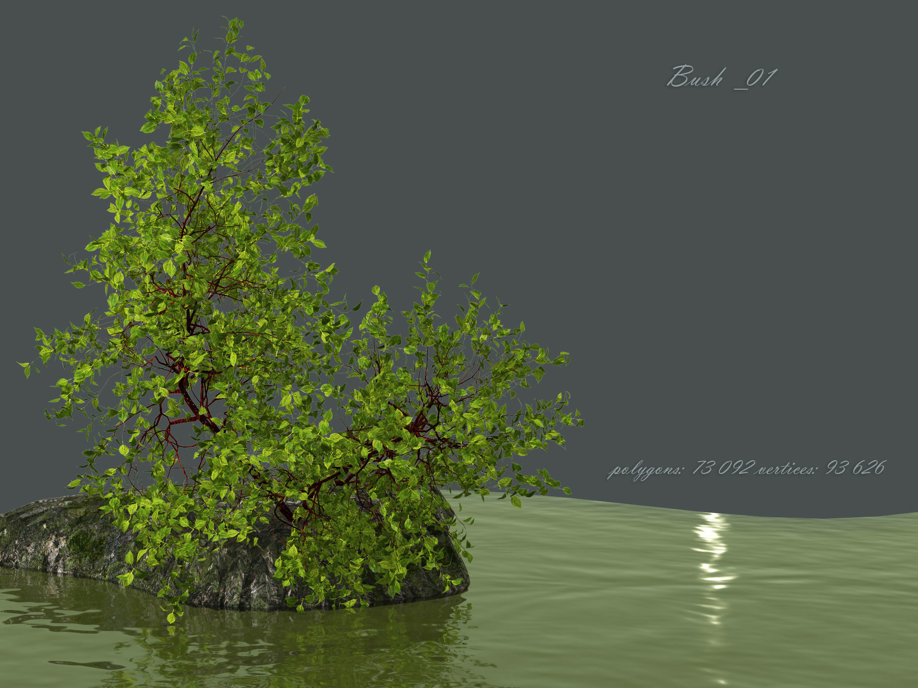 Bush over water 3D model_1