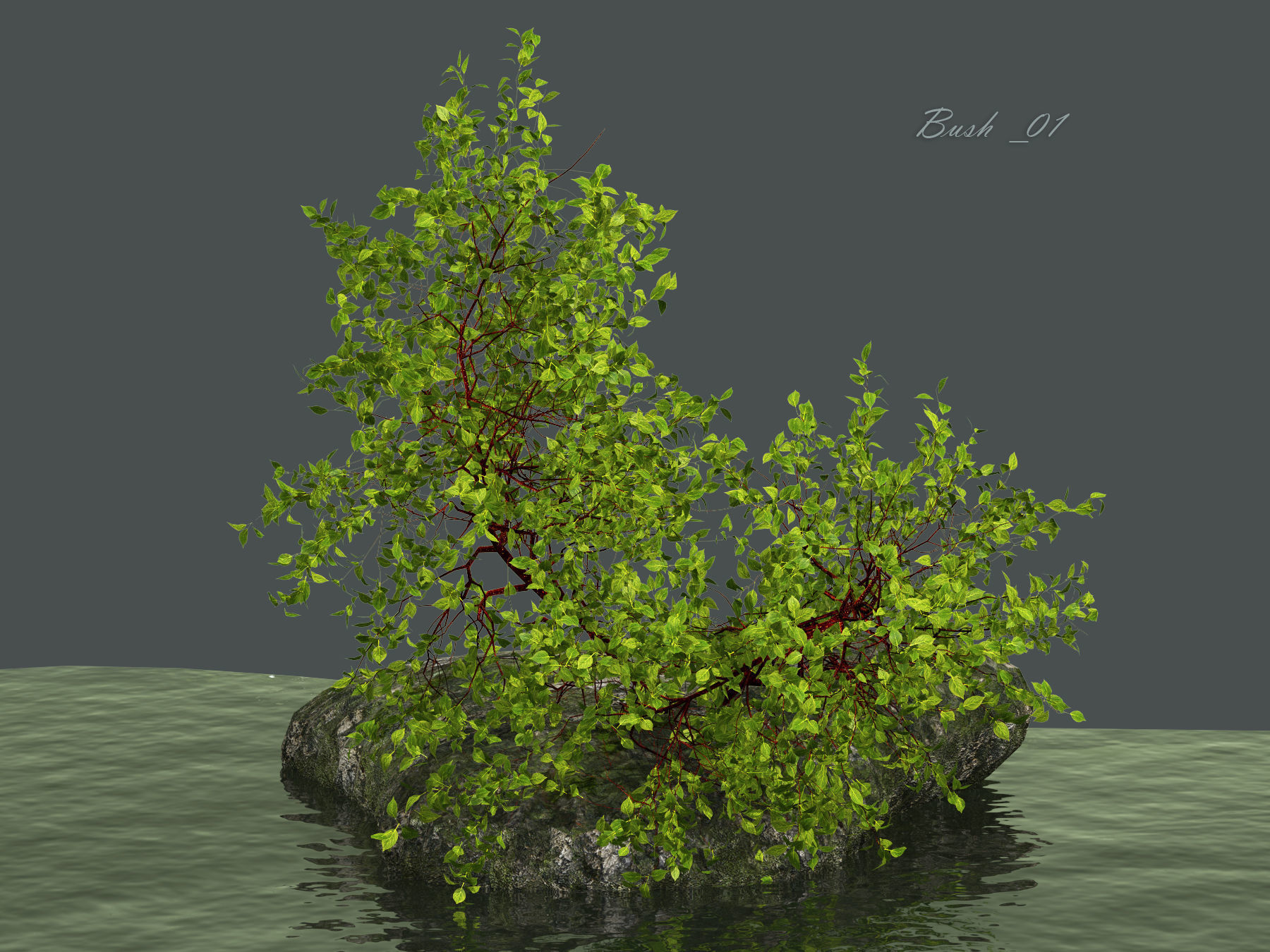 Bush over water 3D model_3