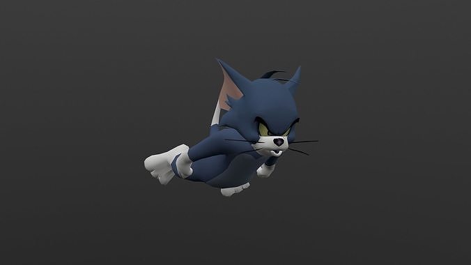 TOMC-005 Tom Cat Flying Low-poly 3D model