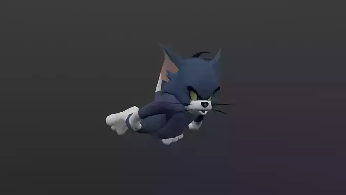 TOMC-005 Tom Cat Flying Low-poly 3D model