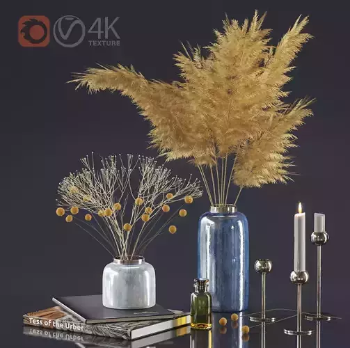 Dry plant decor set