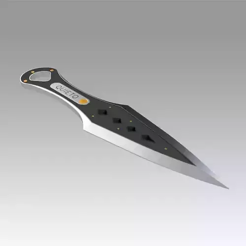 Wraith Heirloom from Apex Legends 3D print model