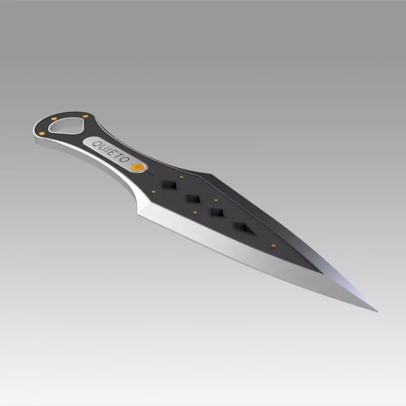 Wraith Heirloom from Apex Legends 3D print model_0