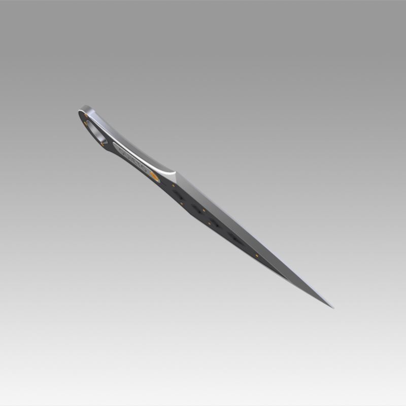 Wraith Heirloom from Apex Legends 3D print model_7