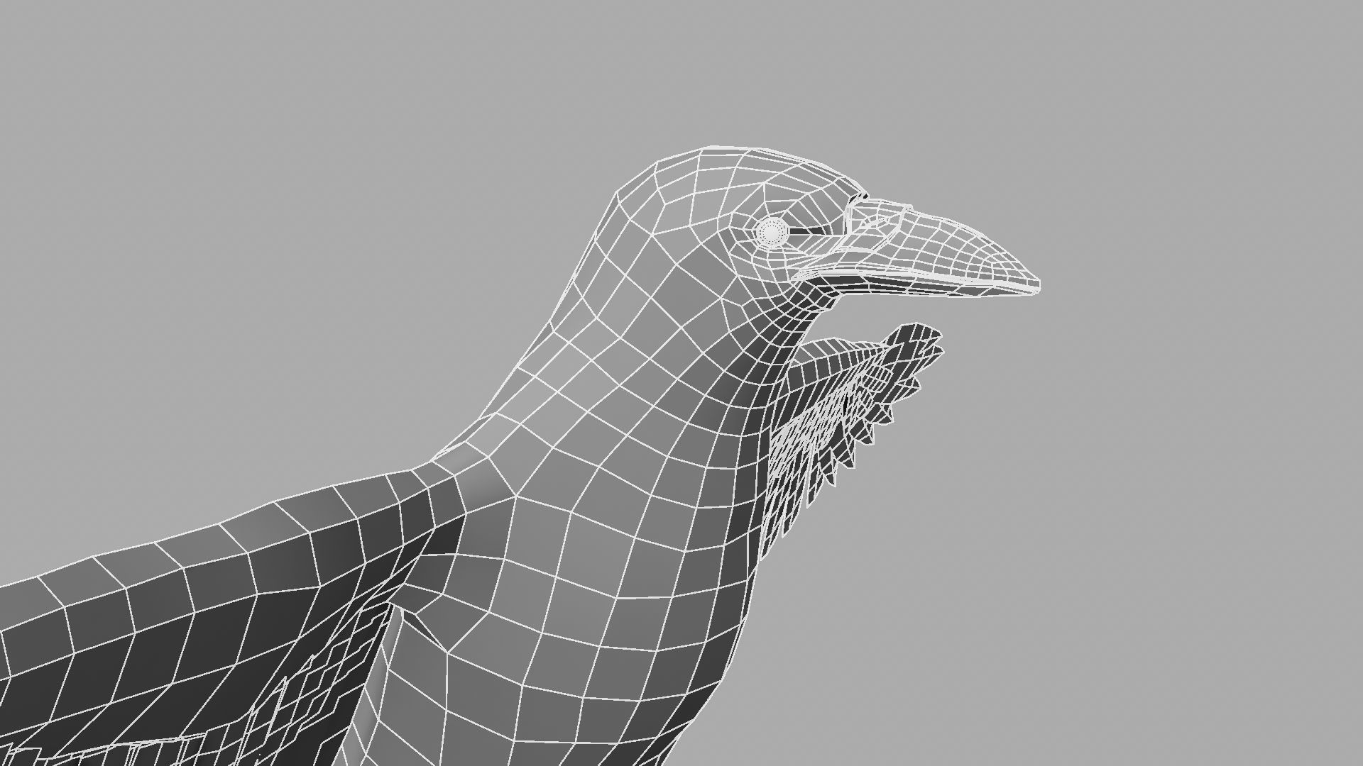 3D Crow raven with wings spread 3D model_20