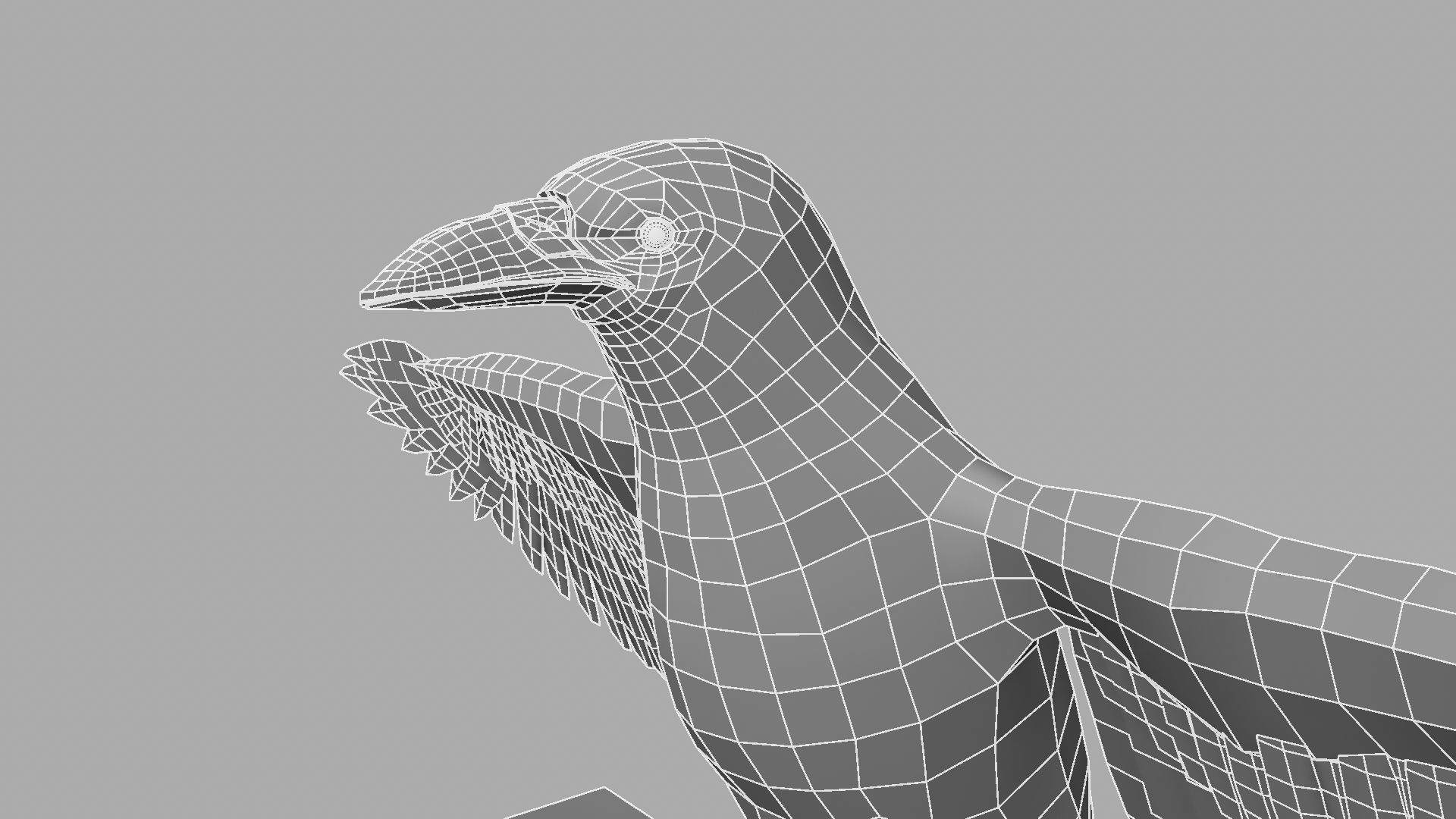 3D Crow raven with wings spread 3D model_18