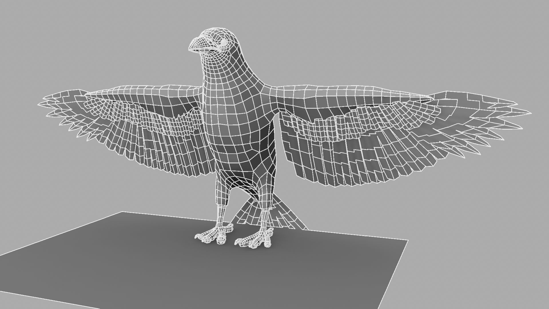 3D Crow raven with wings spread 3D model_27