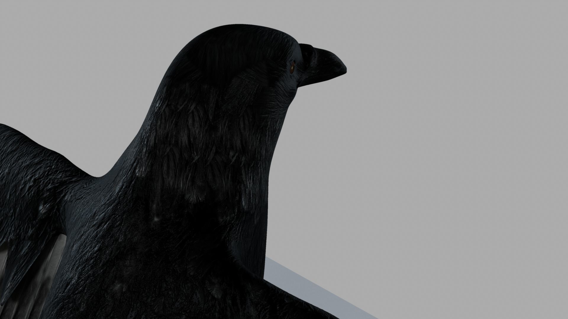 3D Crow raven with wings spread 3D model_24