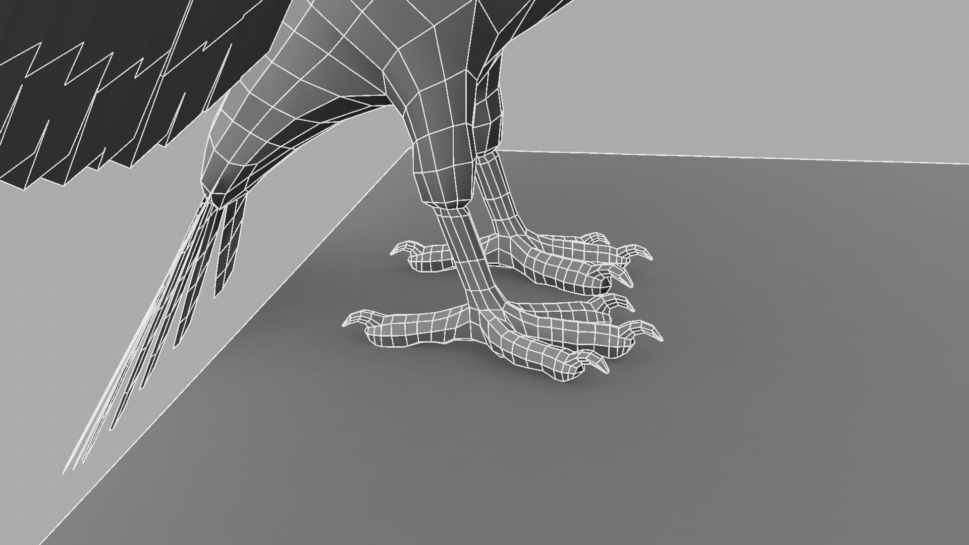 3D Crow raven with wings spread 3D model_21