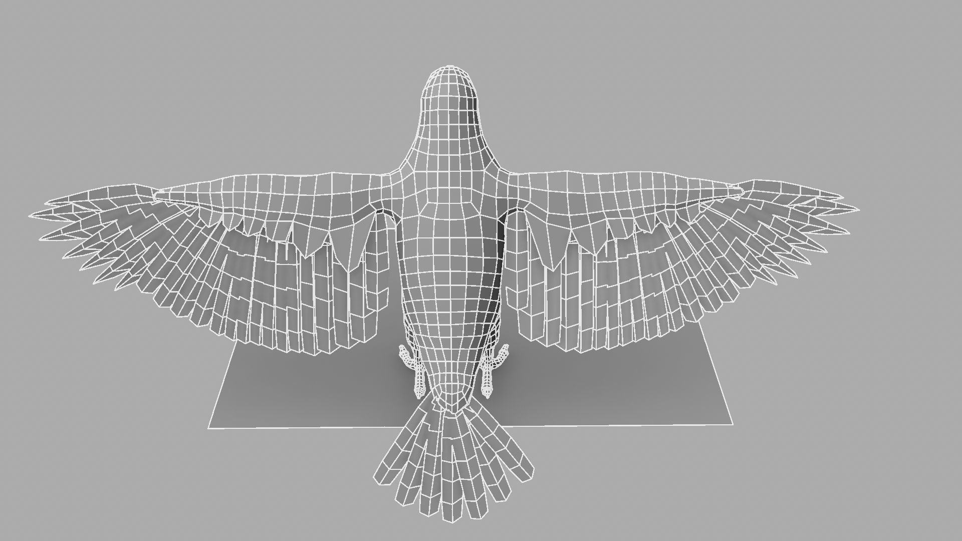 3D Crow raven with wings spread 3D model_17