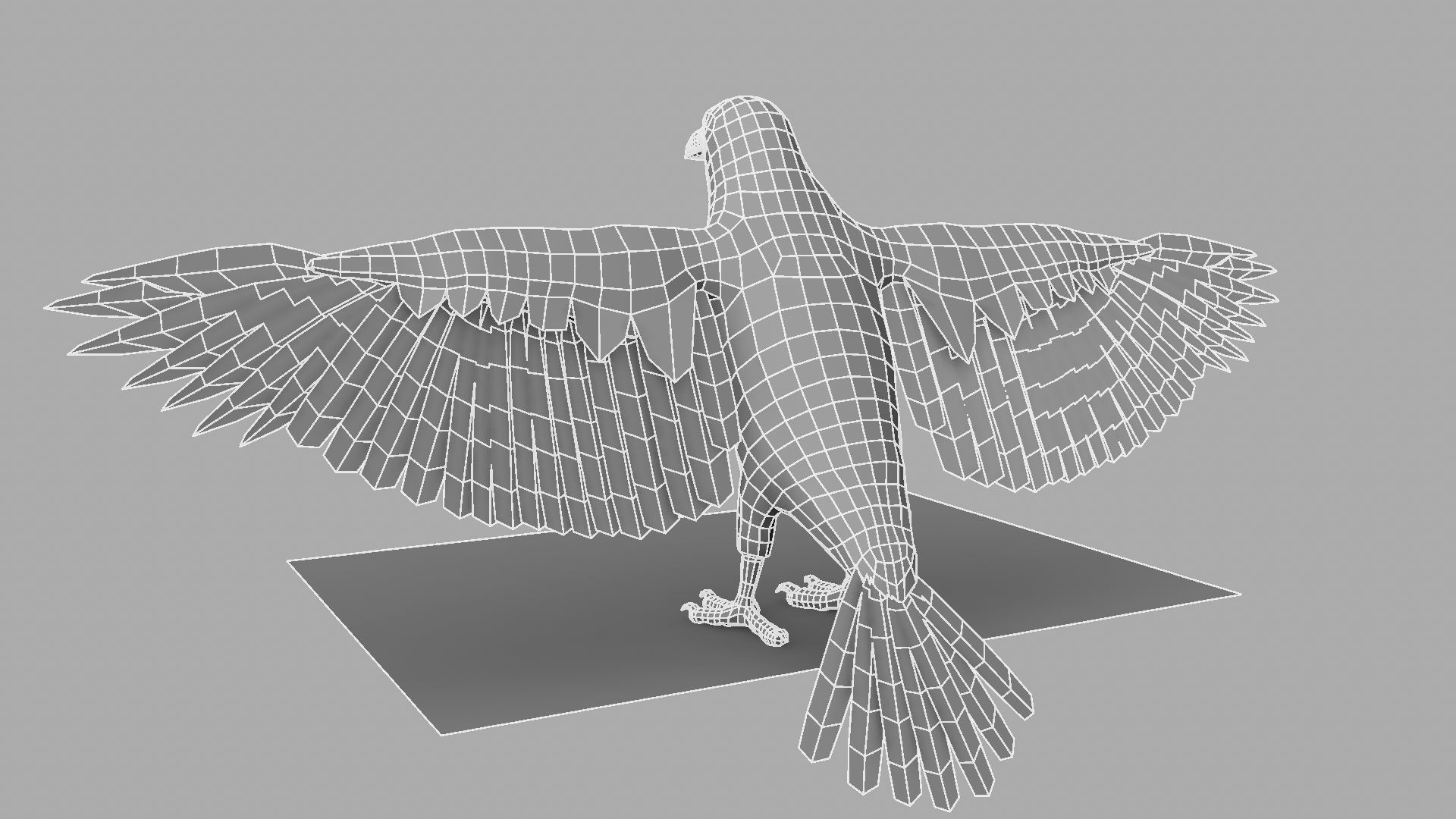 3D Crow raven with wings spread 3D model_28