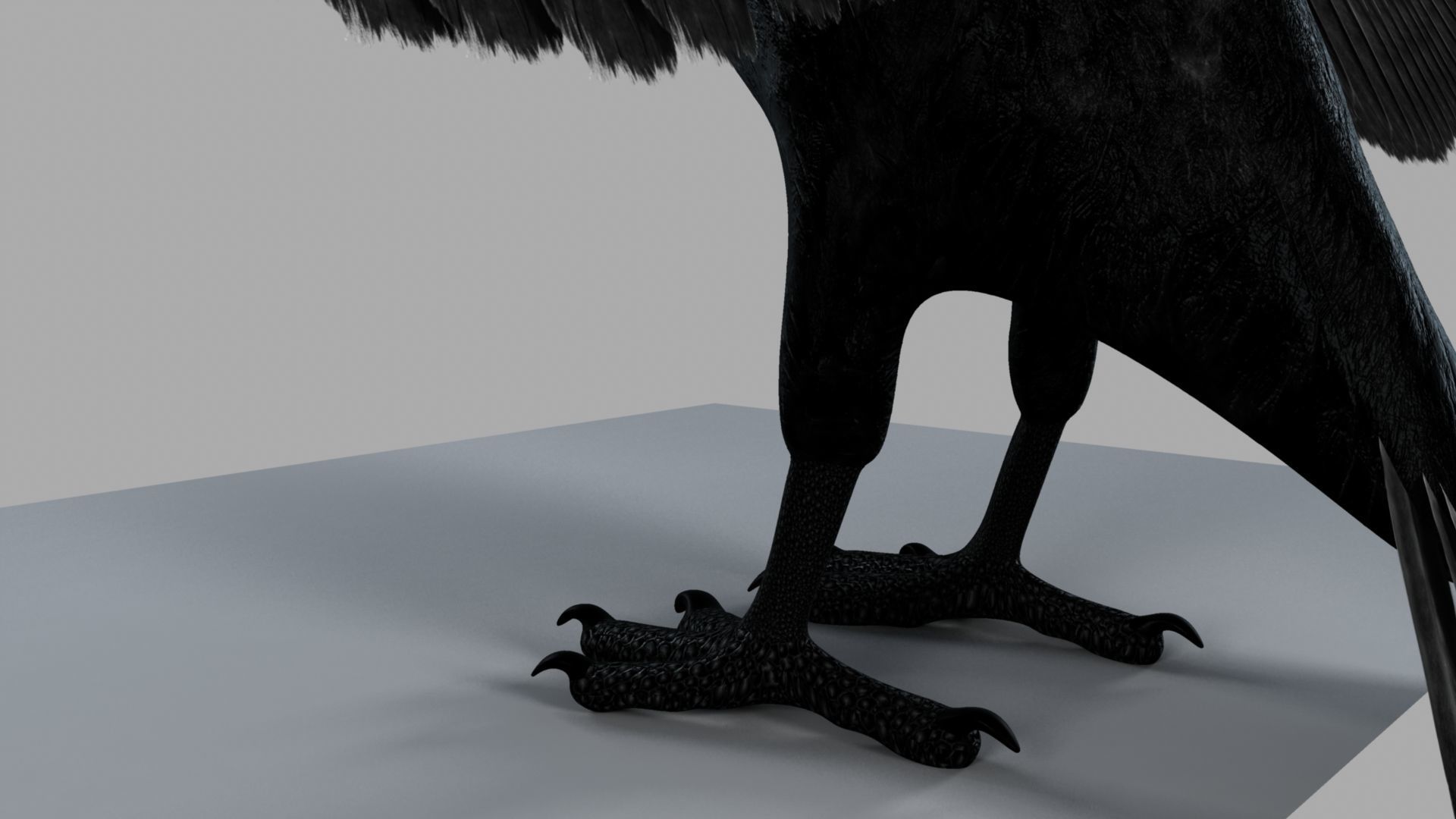 3D Crow raven with wings spread 3D model_6