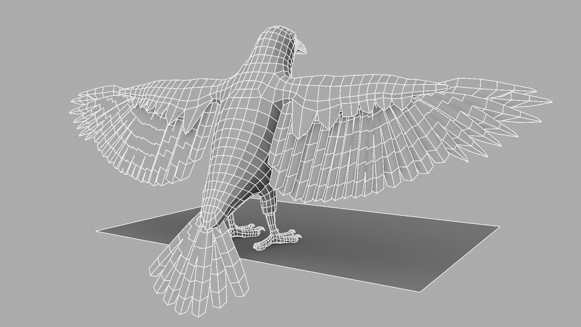 3D Crow raven with wings spread 3D model_25