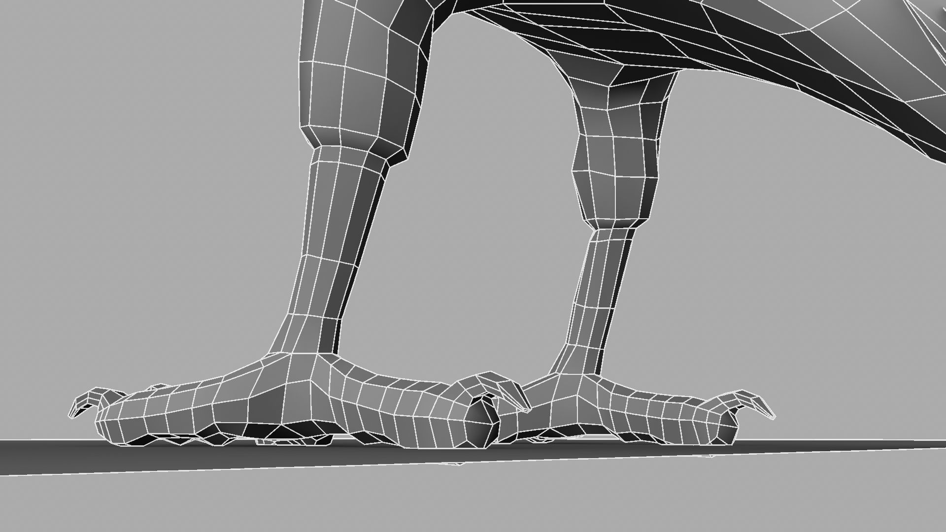 3D Crow raven with wings spread 3D model_12