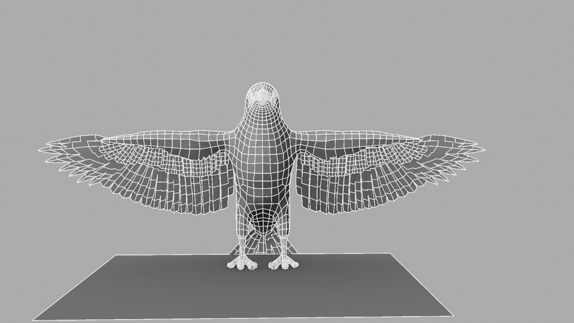 3D Crow raven with wings spread 3D model_11